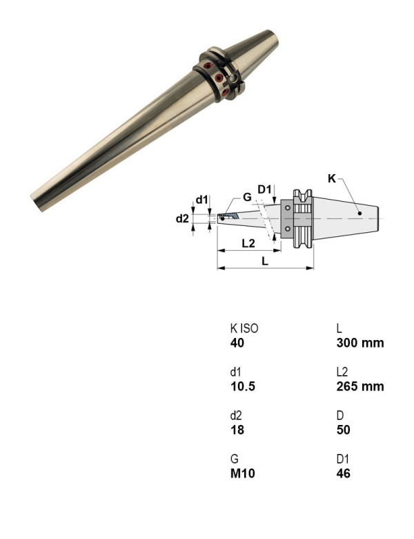 Picture of Canela Tool A11.315.40.10/300 CAT40 Screw On M10
